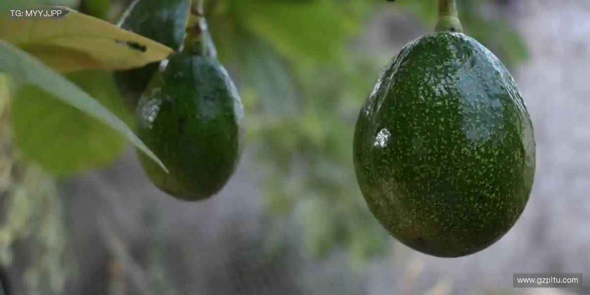 ⚡释放你的冠军潜能，装备你的热爱！💪