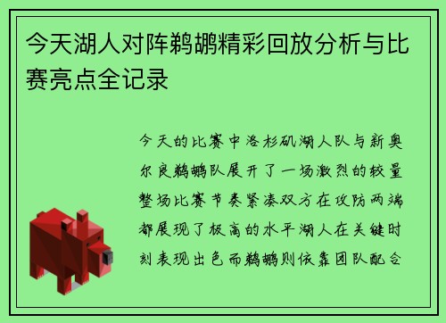 今天湖人对阵鹈鹕精彩回放分析与比赛亮点全记录