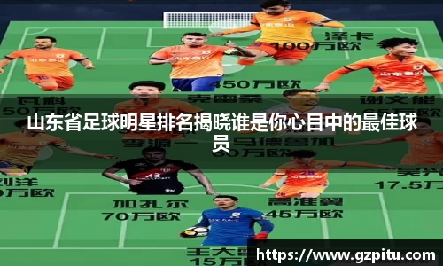 山东省足球明星排名揭晓谁是你心目中的最佳球员