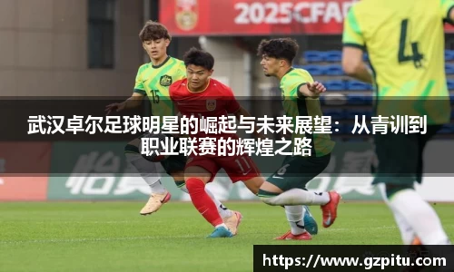 武汉卓尔足球明星的崛起与未来展望：从青训到职业联赛的辉煌之路