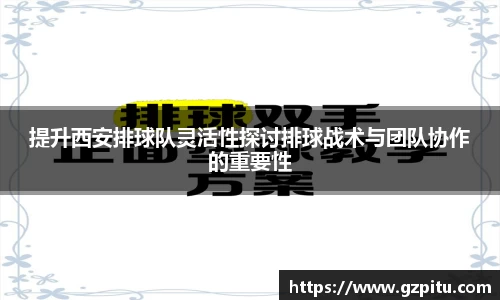 提升西安排球队灵活性探讨排球战术与团队协作的重要性